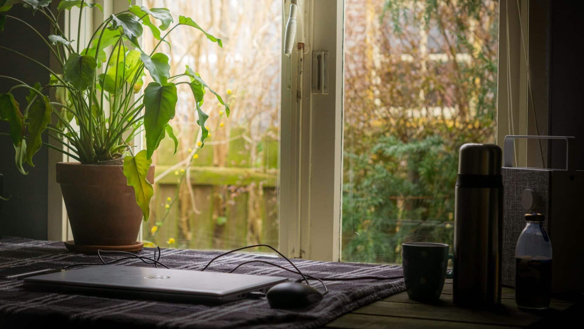 Read more about the article Best Office Productivity Suite