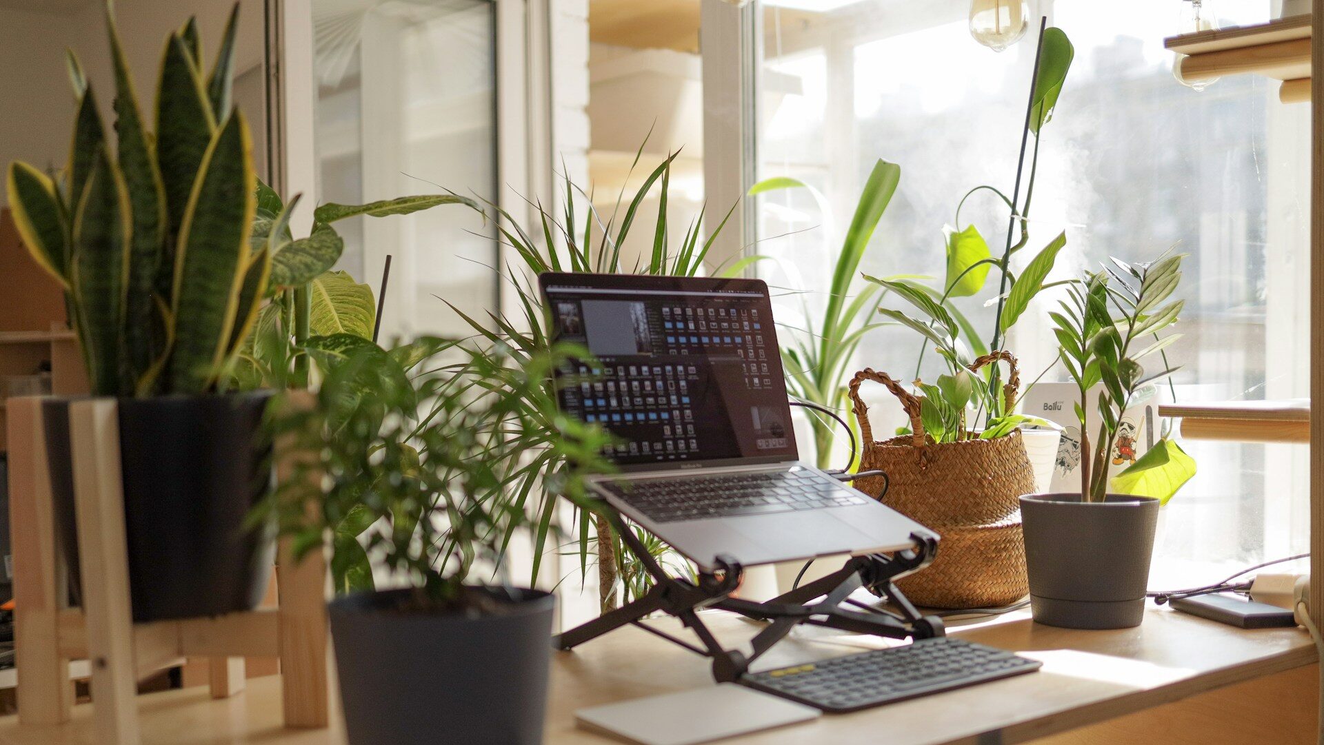 Read more about the article Working Securely From Anywhere